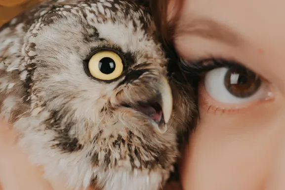 Lottomart Casino Support